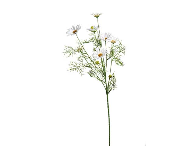 Tralcio margherite 67cm crema a20656