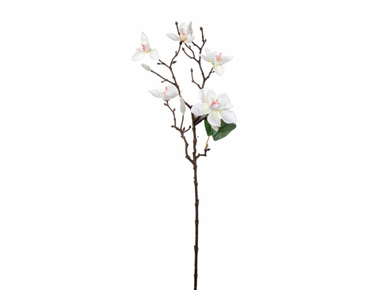 Tralcio magnolie 66cm crema a20660