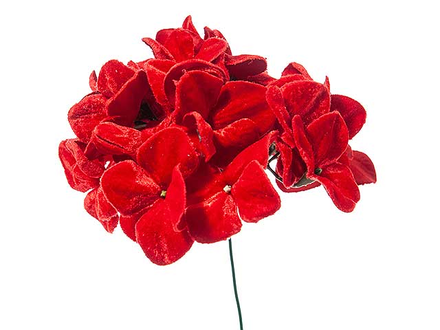 pick ortensia velluto rosso n21167