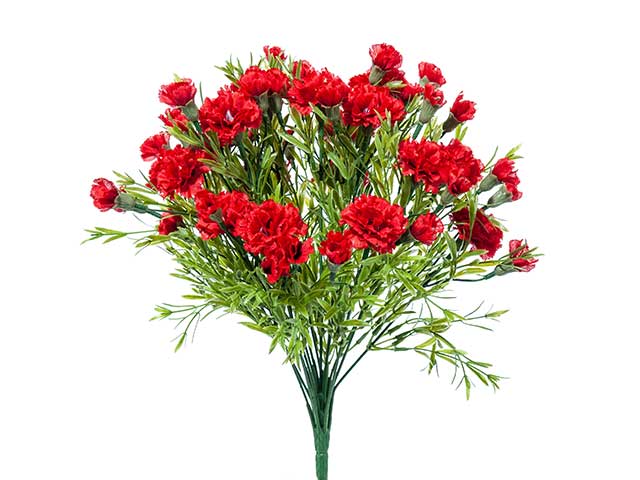 mazzo garofani rossi a21308
