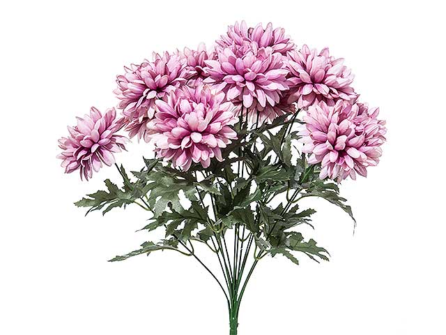 mazzo dalia x12 mauve a21260
