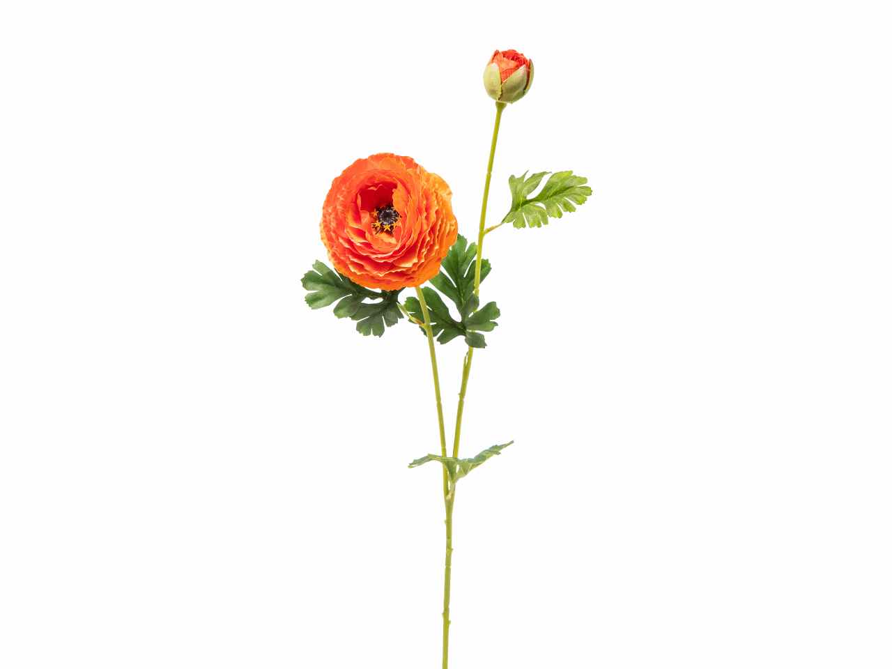 Ranuncolo x2 h74cm corallo a22000