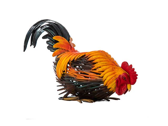 gallo metallo 45x26cm a22350
