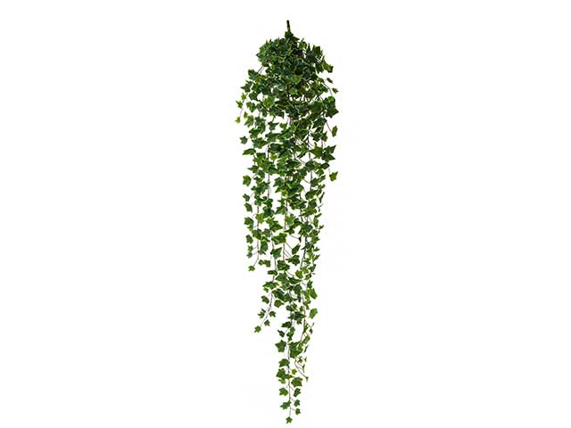 Cadente edera 180cm a22063