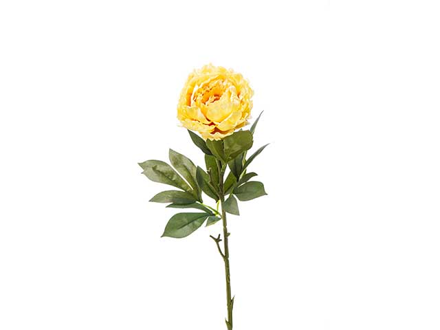 Peonia 71cm gialla a22056