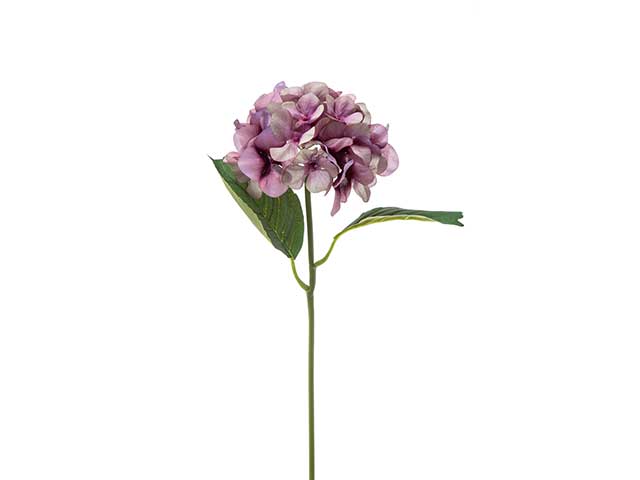 Ortensia lavanda a22092