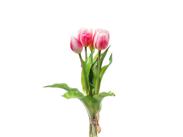 Mazzo tulipano gomma rosa a22649