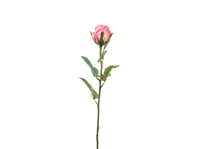 bocciolo 60cm rosa a22222