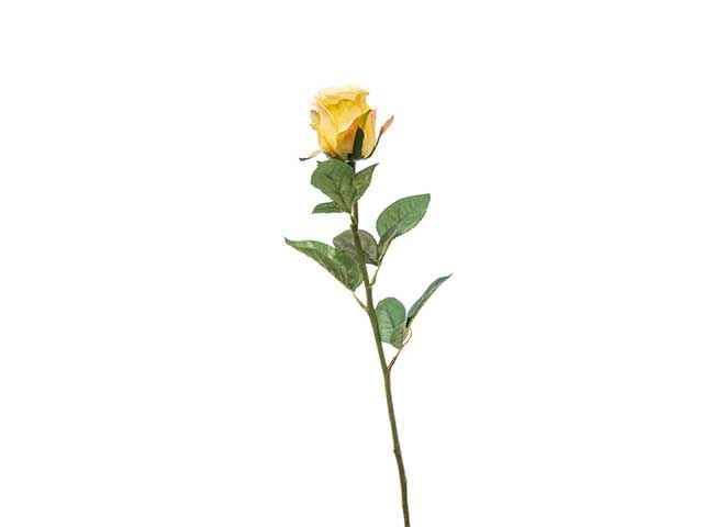 bocciolo 60cm giallo a22222