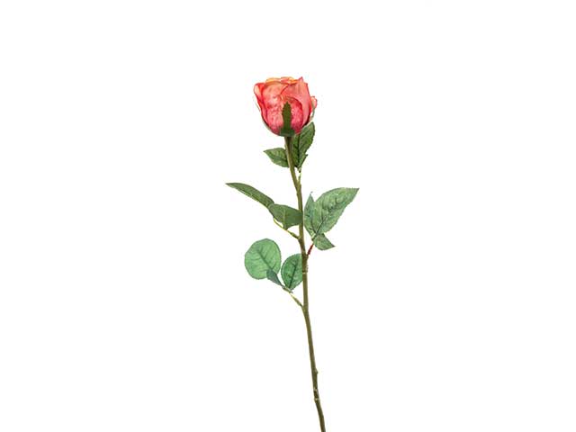 bocciolo 60cm corallo a22222