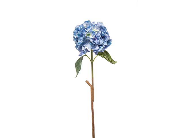 Ortensia media blu a22225