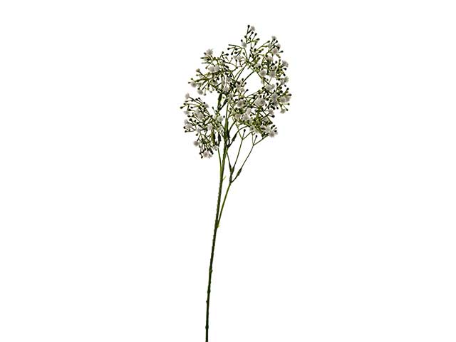 nebbiolina tralcio 55cm bianco a22021