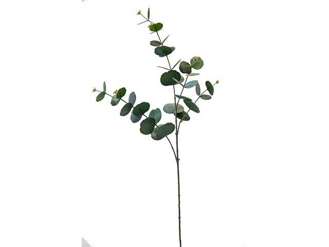 eucalipto 85cm a22787