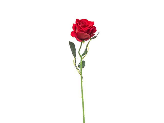 Rosa velluto 51cm rossa a22694