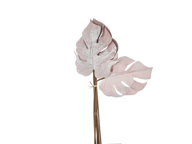aralia grande rosa 6foglie n22804