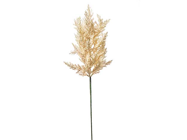 Astilbe 65cm crema a22749