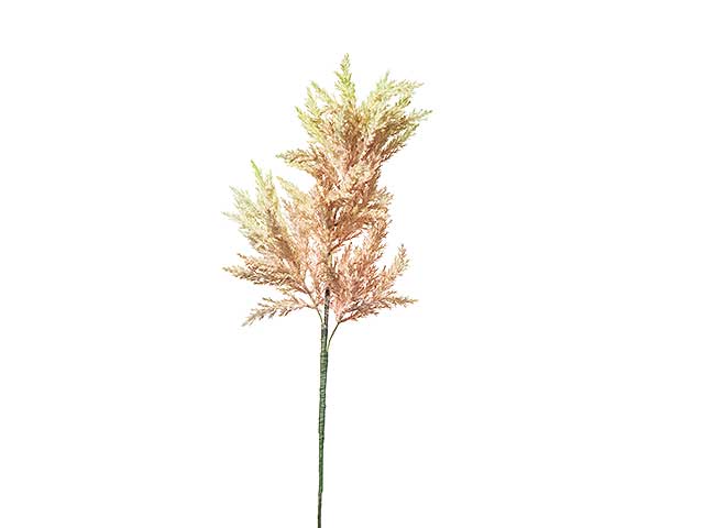 Astilbe grande 70cm rosa a22751