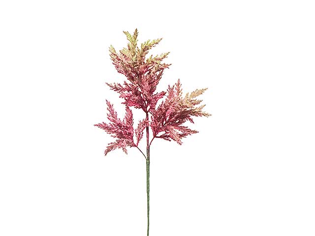 Astilbe grande 70cm mauve a22751
