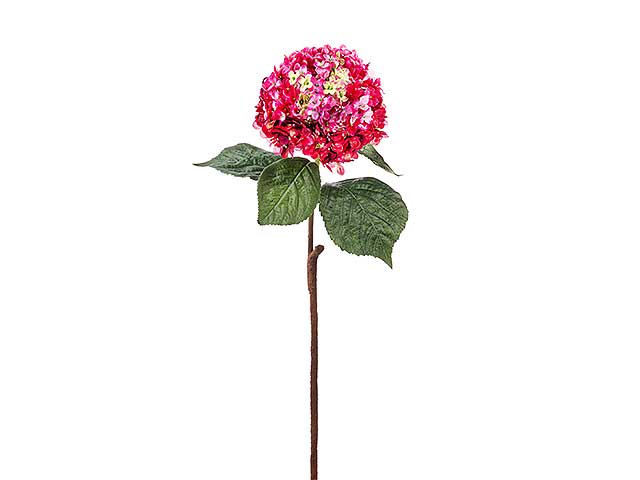Ortensia lusso 90cm beauty a3975