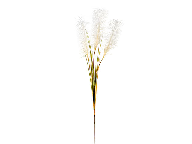 pampas x3 crema a24223