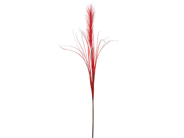 Pampas singola 122cm rossa a24224