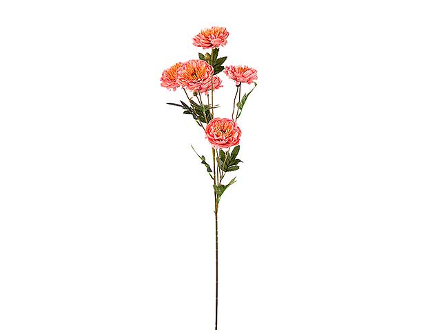 tralcio peonia x6 75cm a24304