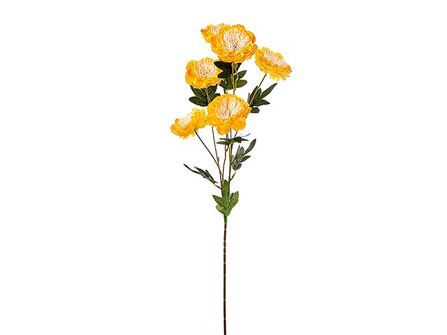 Tralcio peonia x6 75cm gialla a24304
