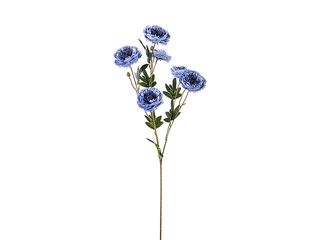 tralcio peonia x6 75cm blu a24304