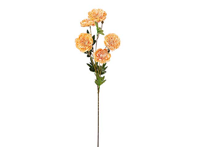 Tralcio peonia x6 75cm champagne a24304