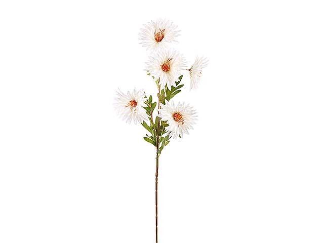 gerbera x5 75cm bianca a24305