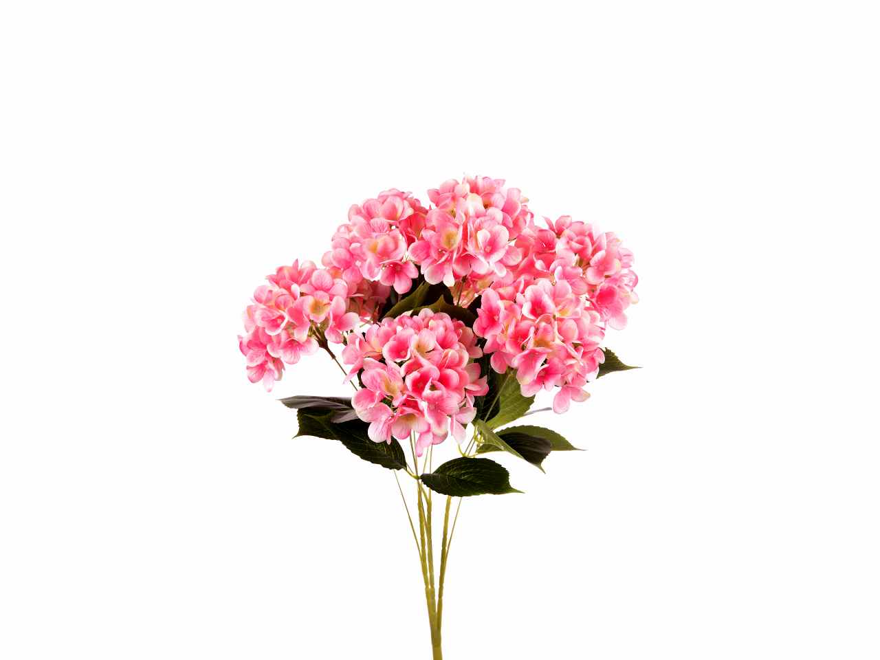 Mazzo ortensia x9 rosa a24167
