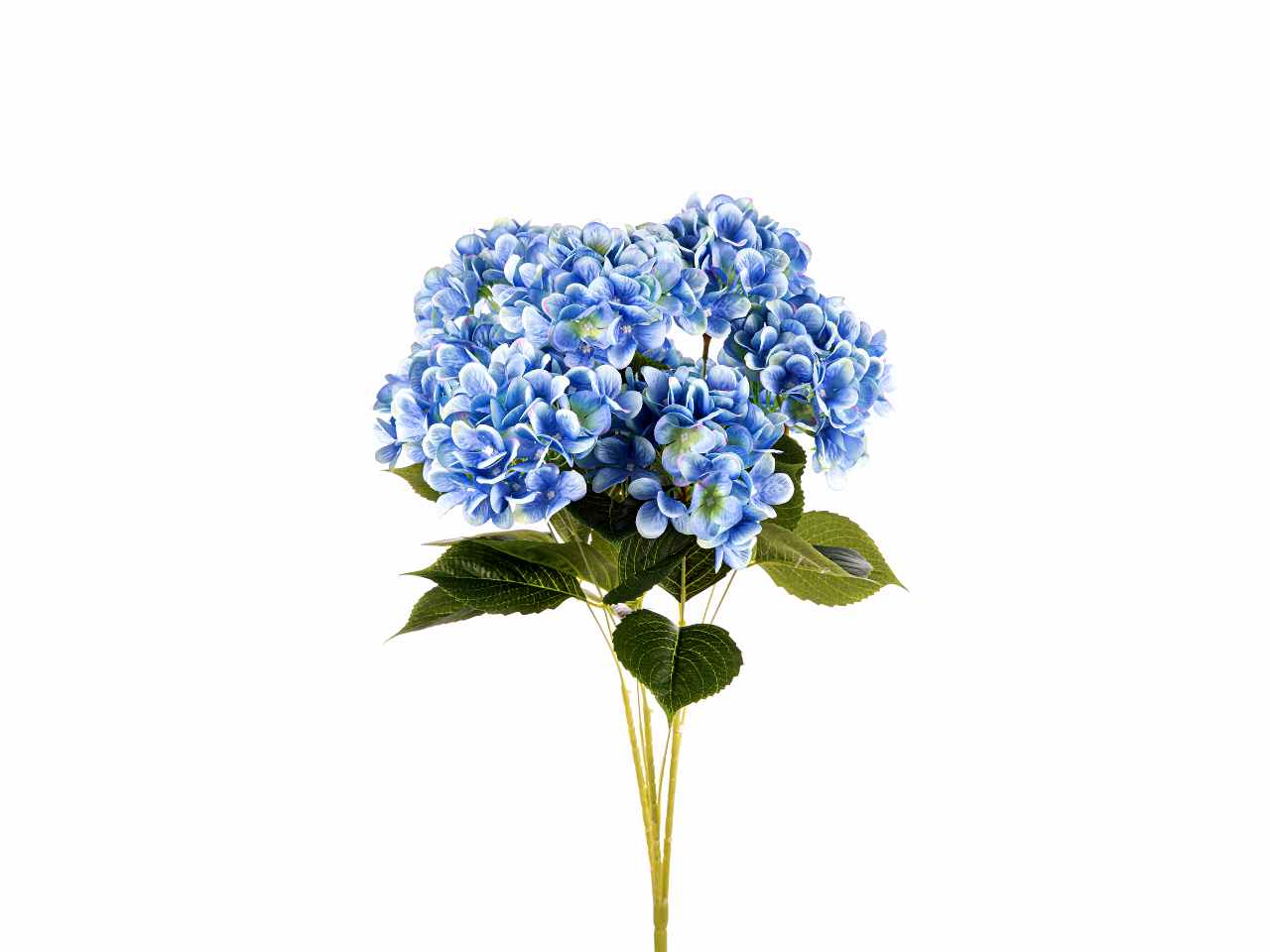Mazzo ortensia x9 blu a24167