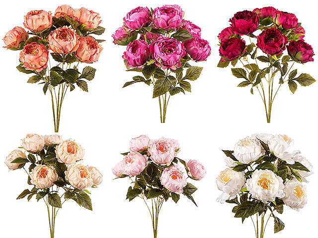 Mazzo peonie x9 ass.a24169