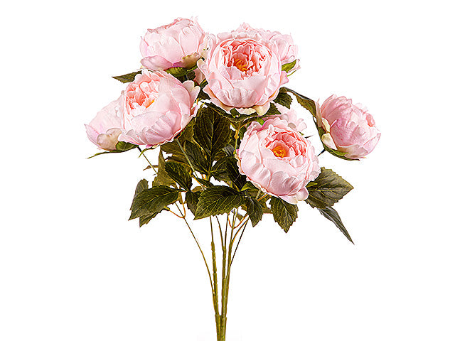 Mazzo peonie x9 ass.a24169