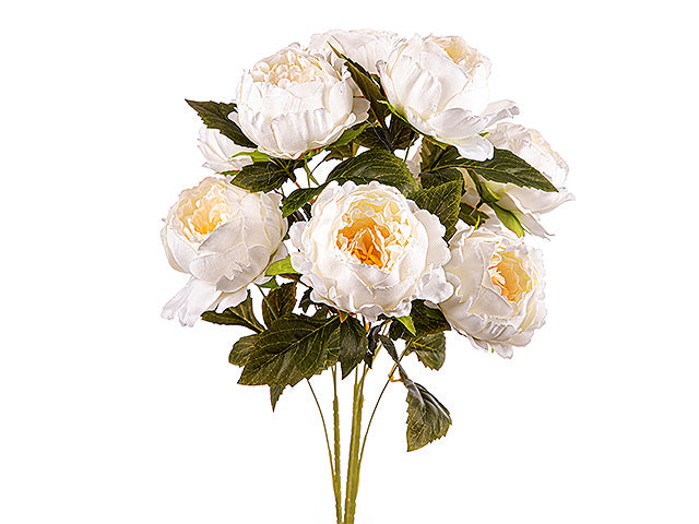 Mazzo peonie x9 ass.a24169