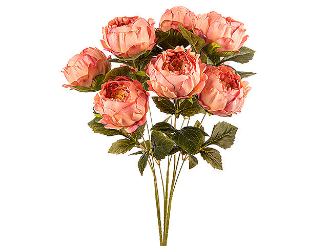 Mazzo peonie x9 ass.a24169