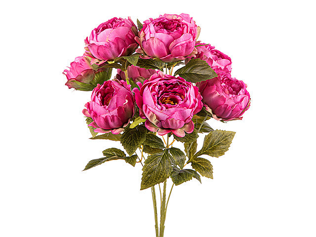 Mazzo peonie x9 ass.a24169