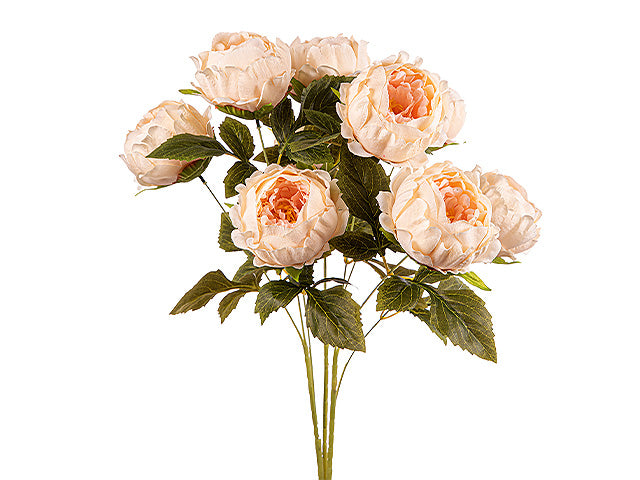 Mazzo peonie x9 ass.a24169