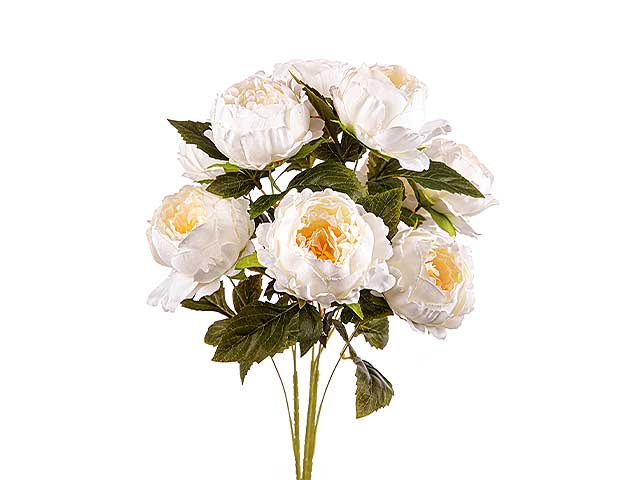 mazzo peonie x9 crema a24169