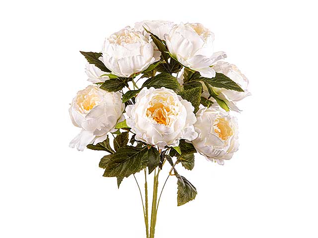 mazzo peonie x9 crema a24169