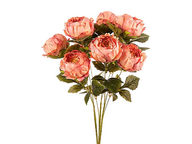 mazzo peonie x9 pesca a24169