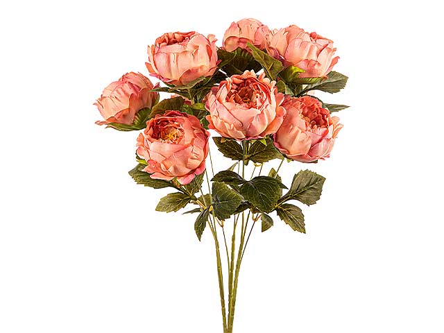 mazzo peonie x9 pesca a24169