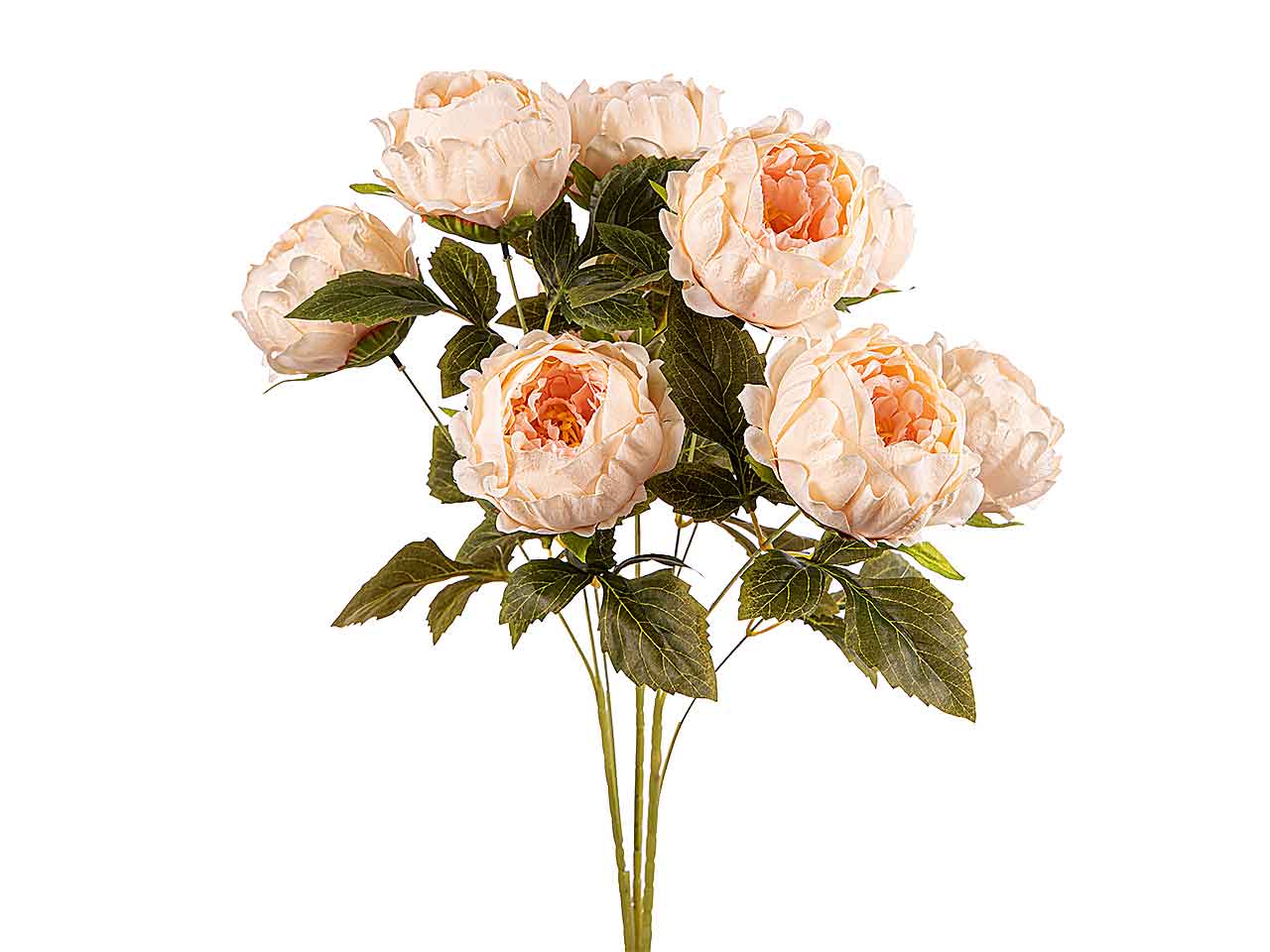 Mazzo peonie x9 tea a24169
