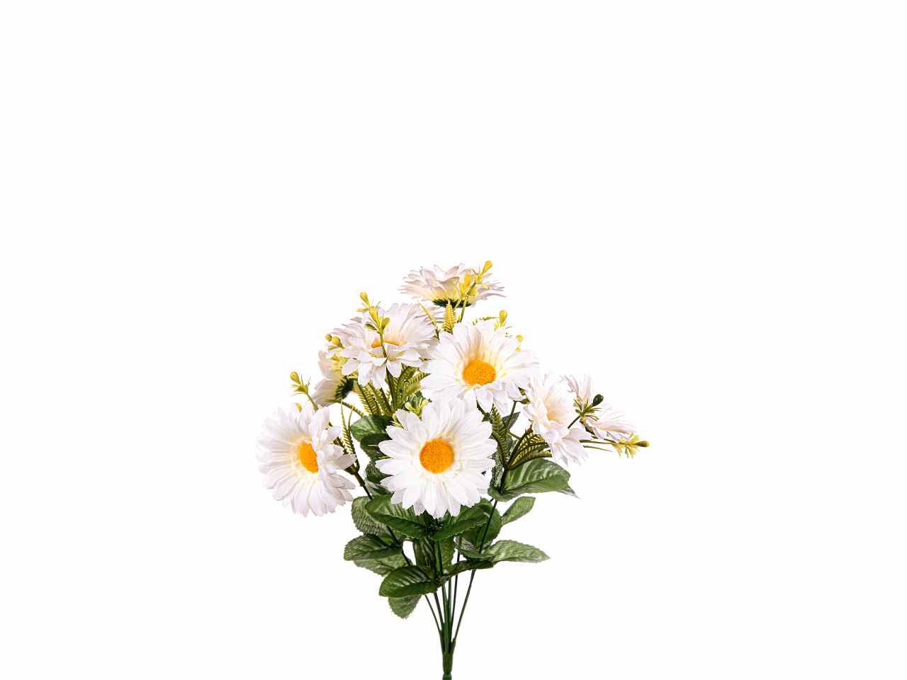 Mazzo gerbera x10 40cm crema a24171