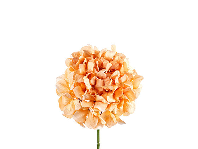 Pick ortensia a4276