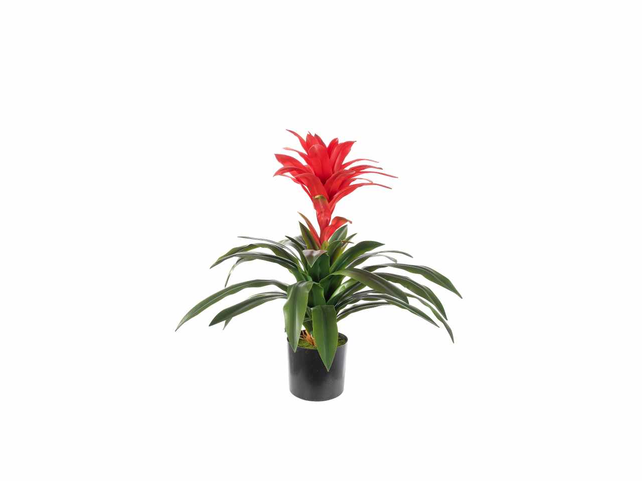 Pianta guzmania rossa 80cm a26383