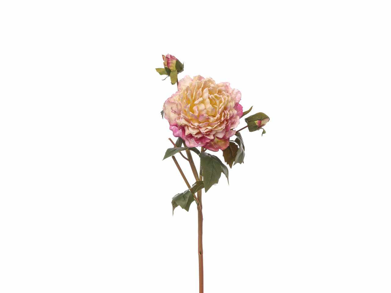 Peonia con bocciolo 55cm lavanda