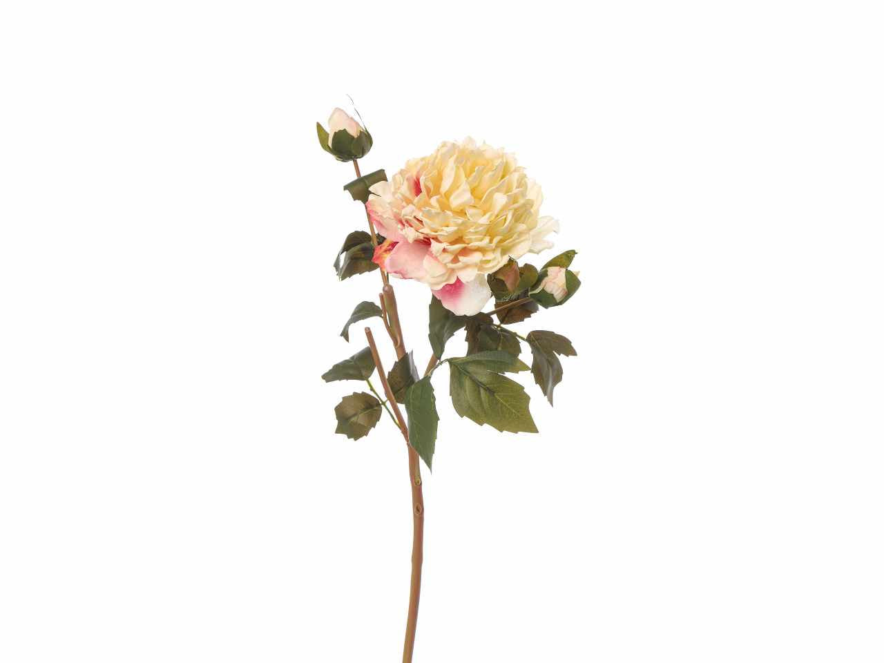 Peonia con bocciolo 55cm cipria