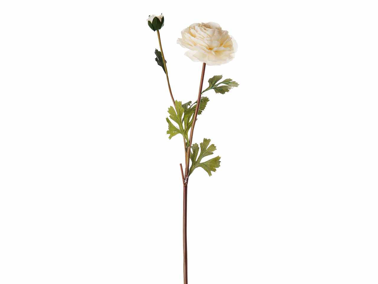 Fiore di ranuncolo colore crema x 2