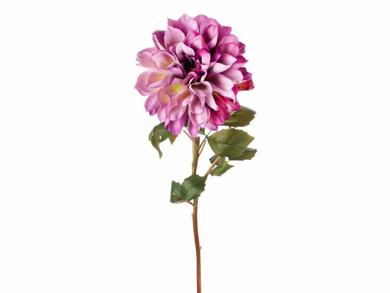 Tralcio dalie 55cm lavanda a26199